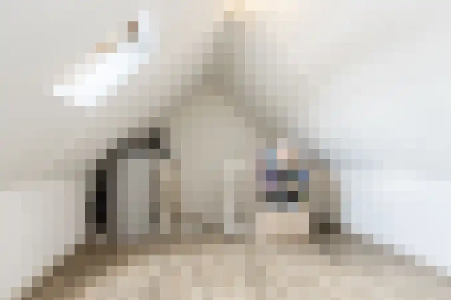 Willem Kesteloostraat 4 Nieuwaal thumbnail 37