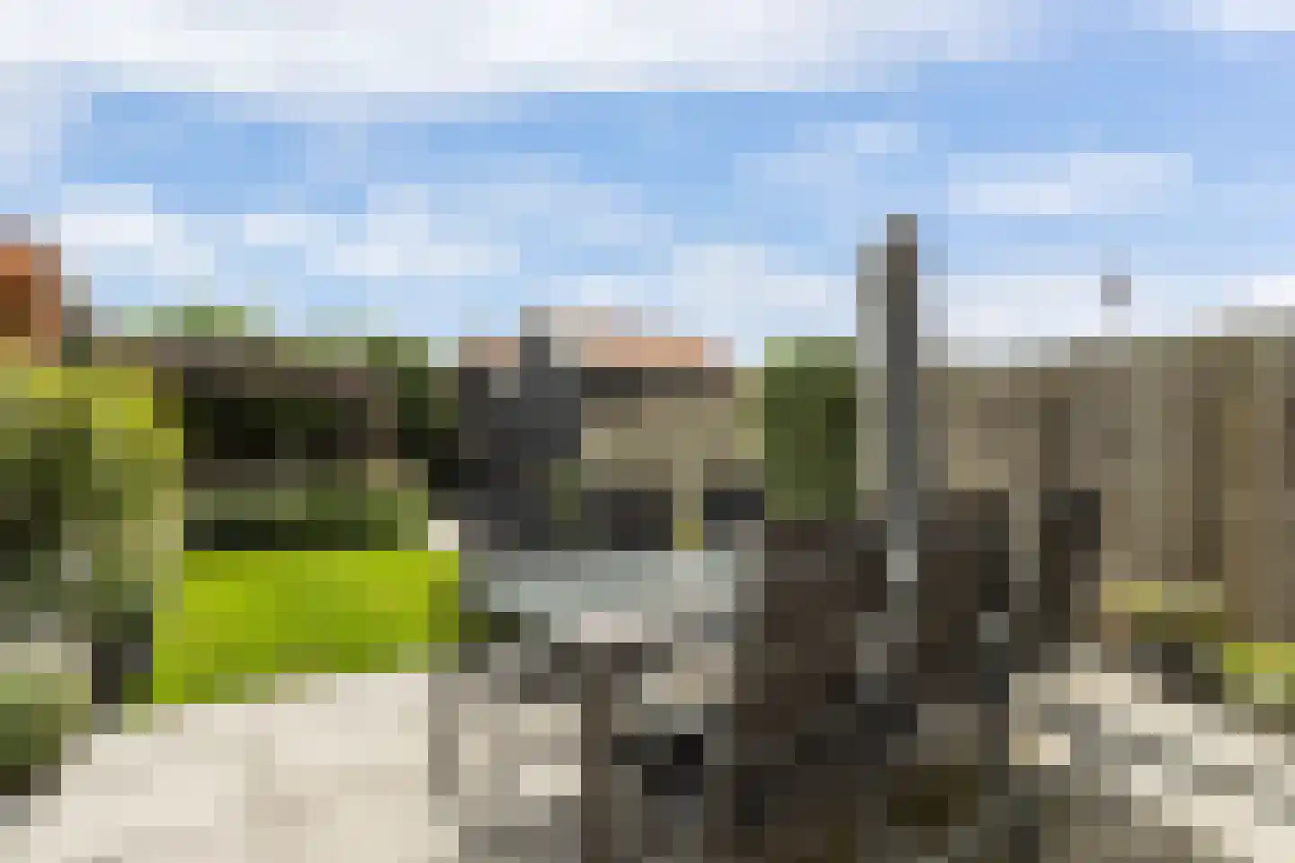 Willem Kesteloostraat 4 Nieuwaal thumbnail 40