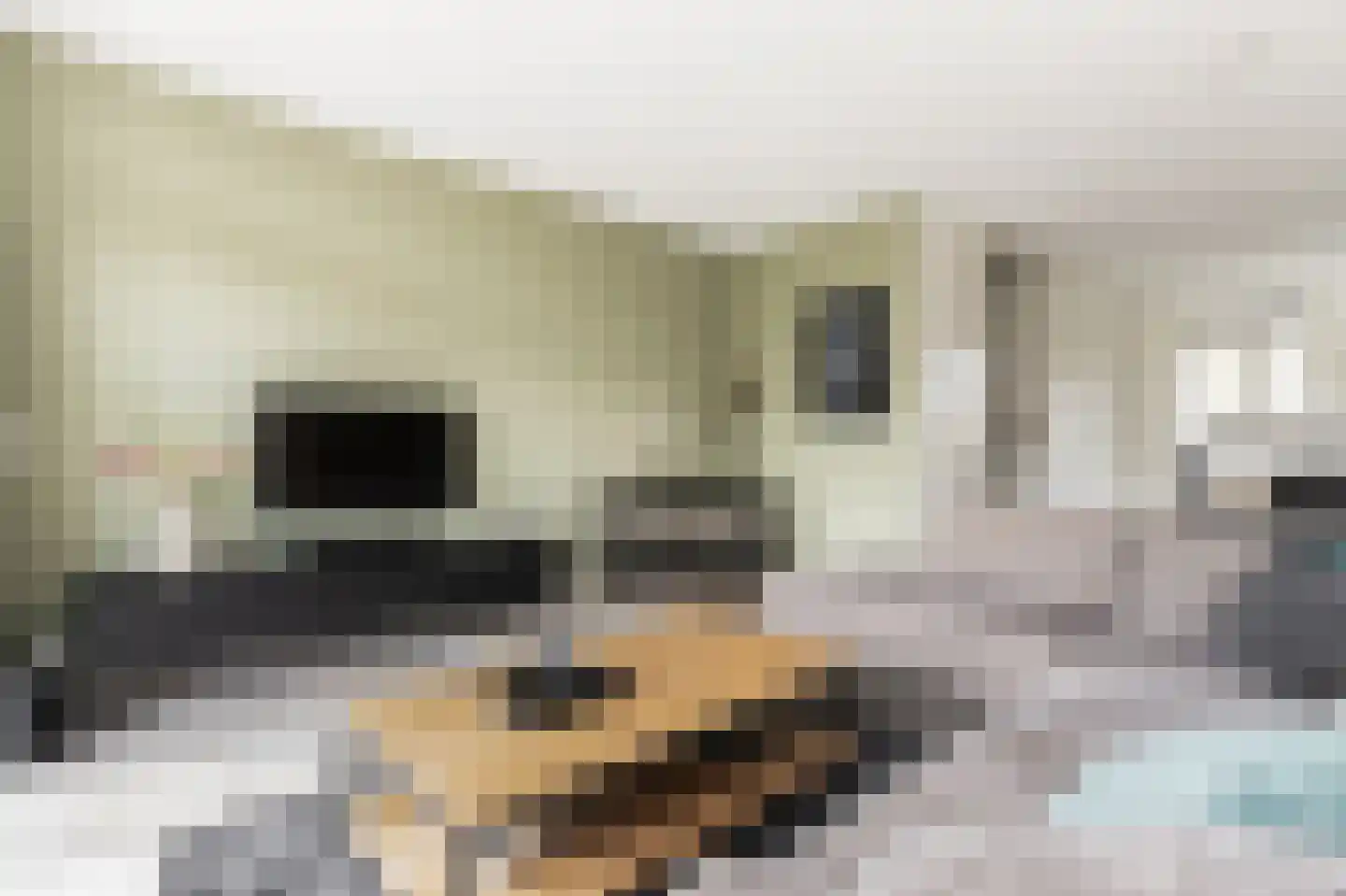 Willem Kesteloostraat 4 Nieuwaal thumbnail 5