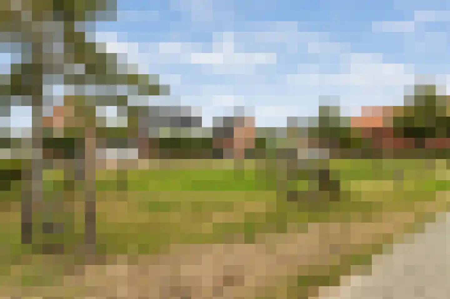 Willem Kesteloostraat 4 Nieuwaal thumbnail 52