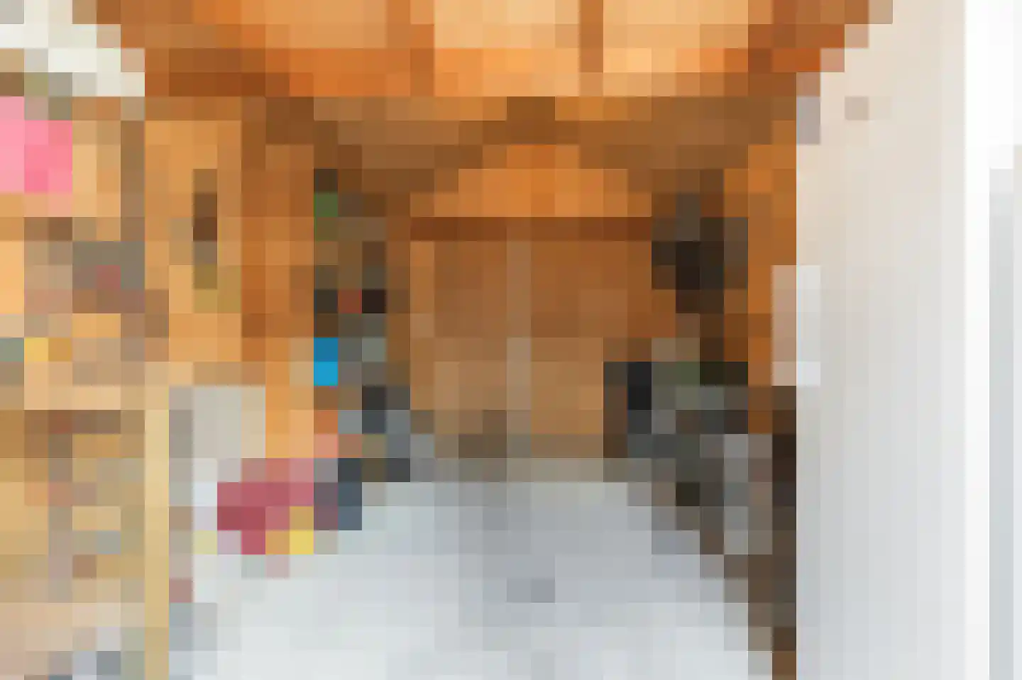 Willem Kesteloostraat 4 Nieuwaal thumbnail 56