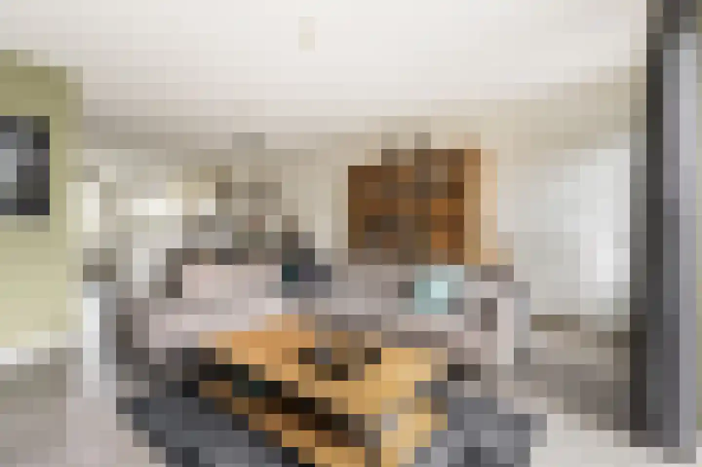 Willem Kesteloostraat 4 Nieuwaal thumbnail 6