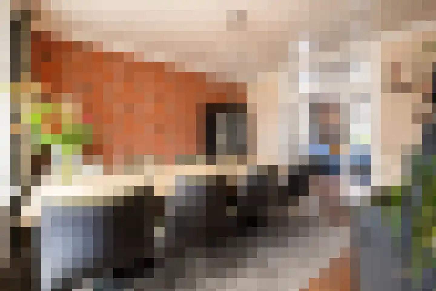 Willem Kippstraat 3 Megen thumbnail 13