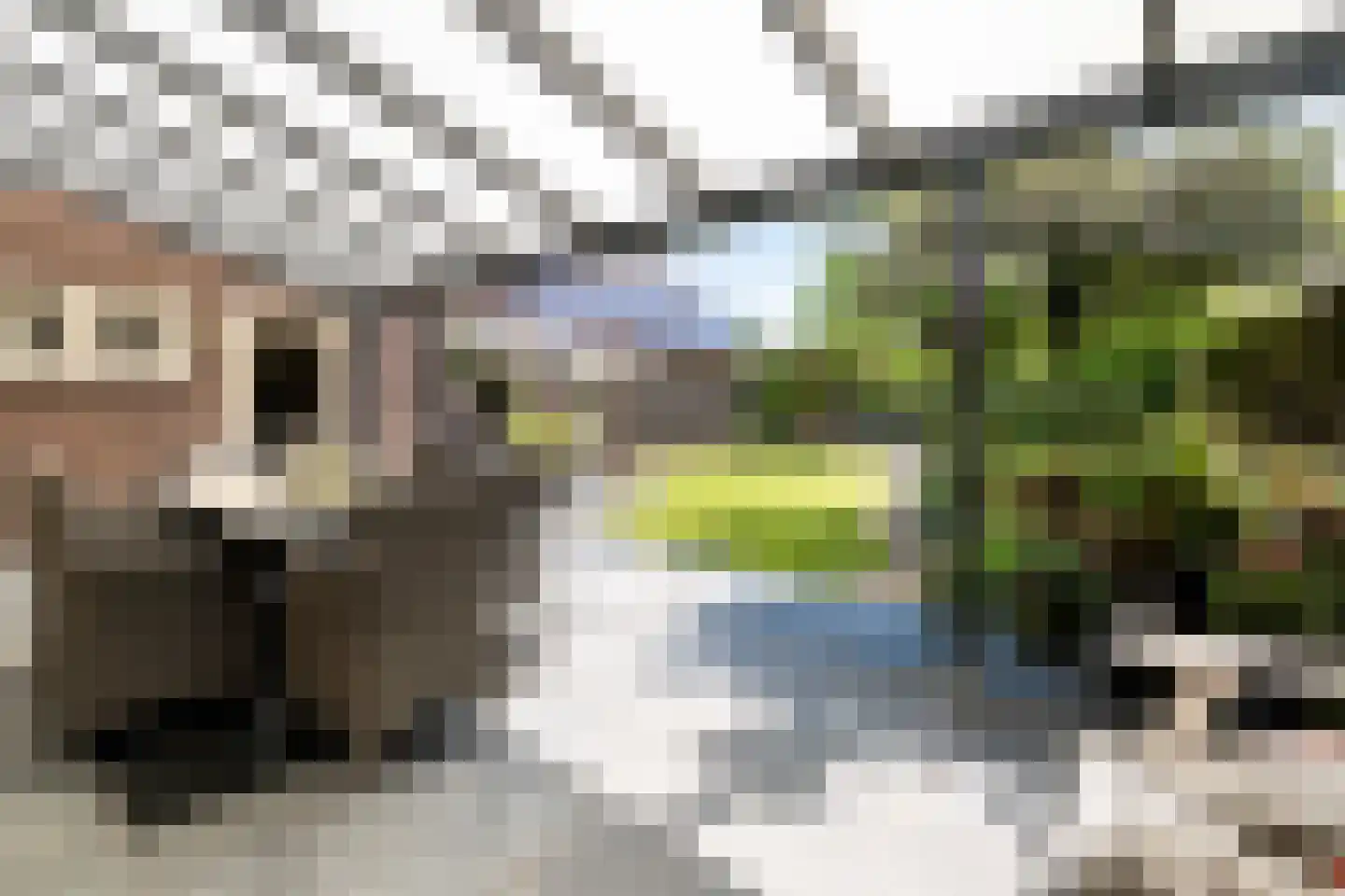 Willem Kippstraat 3 Megen thumbnail 41