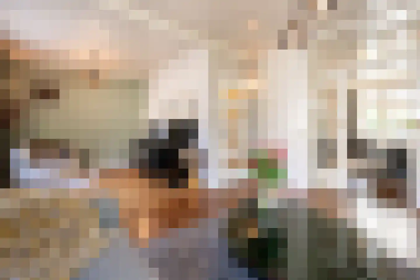 Willem Kippstraat 3 Megen thumbnail 9