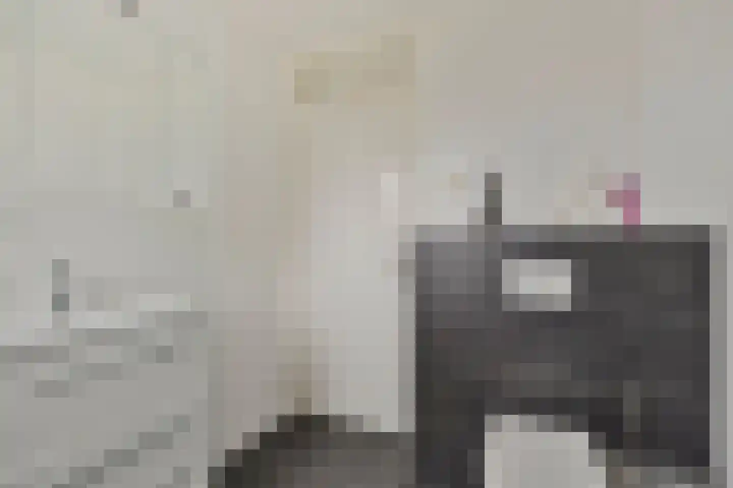 Willem Klooshof 21 Goor thumbnail 20
