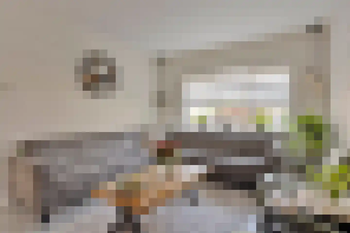 Willem Klooshof 21 Goor thumbnail 5