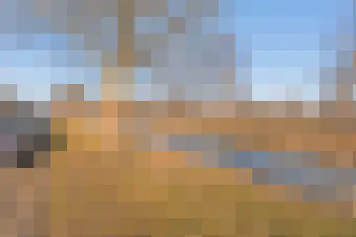 Willem Klooshove 11 Nieuwegein thumbnail 30