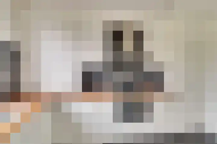 Willem Klooshove 23 Nieuwegein thumbnail 11