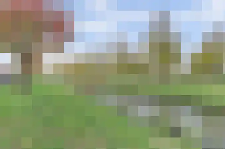 Willem Klooshove 23 Nieuwegein thumbnail 36