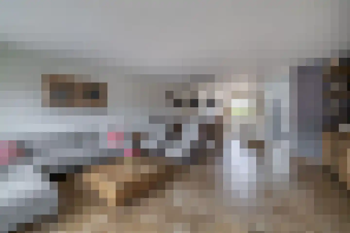 Willem Klooshove 24 Nieuwegein thumbnail 10