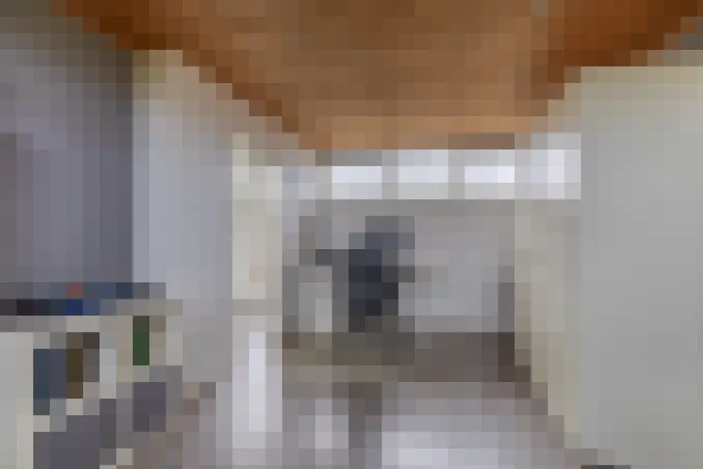 Willem Klooshove 24 Nieuwegein thumbnail 32