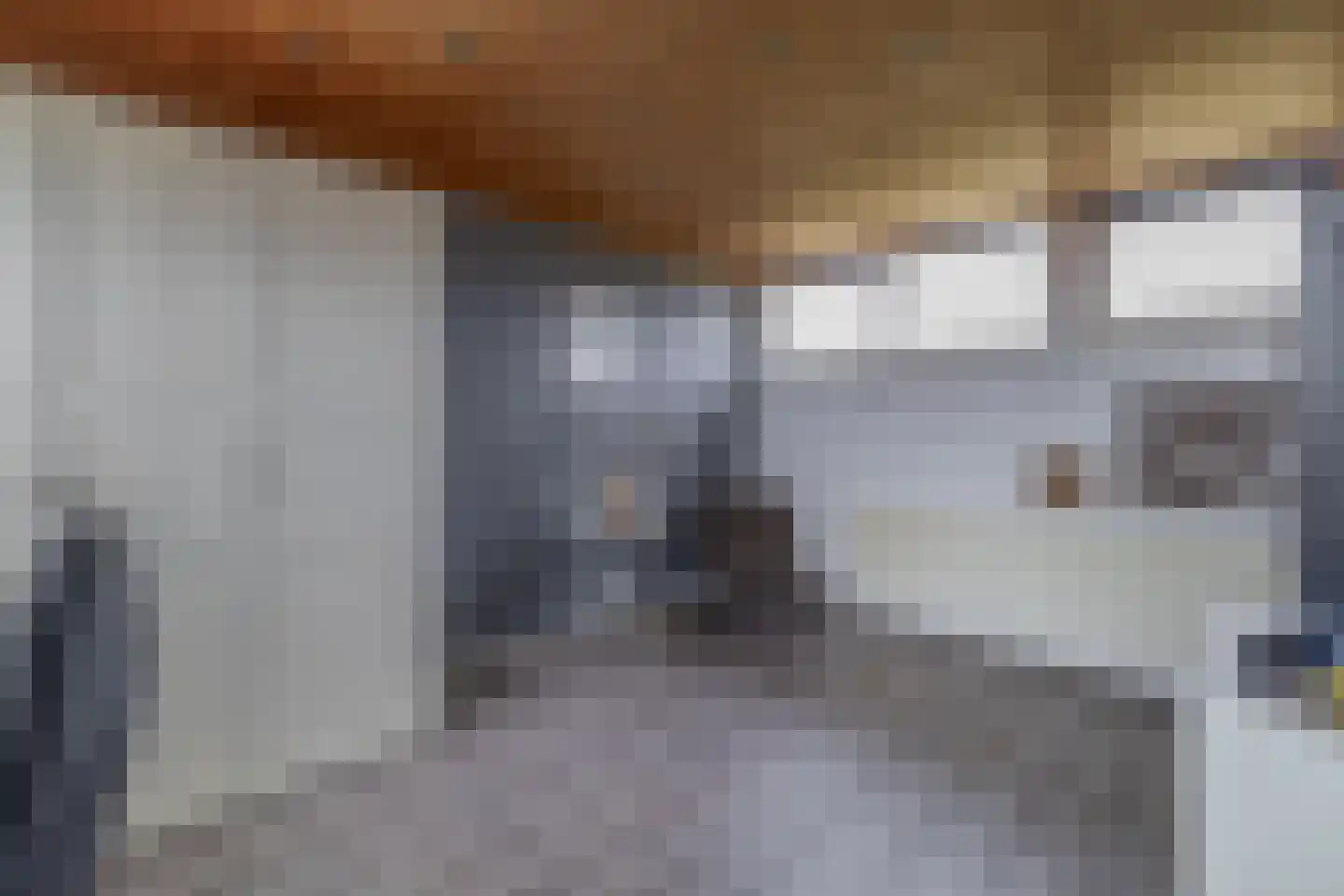 Willem Klooshove 24 Nieuwegein thumbnail 33