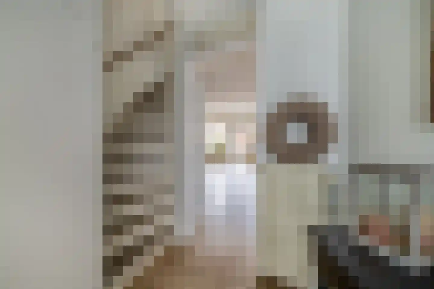 Willem Klooshove 24 Nieuwegein thumbnail 9