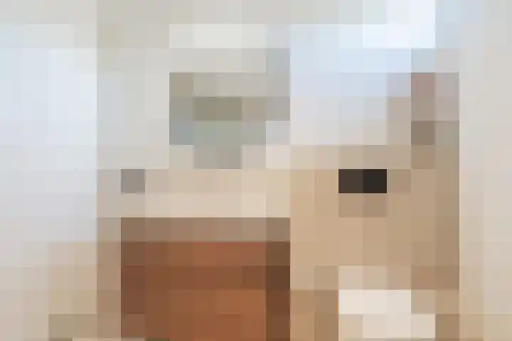 Willem Klooshove 38 Nieuwegein thumbnail 33