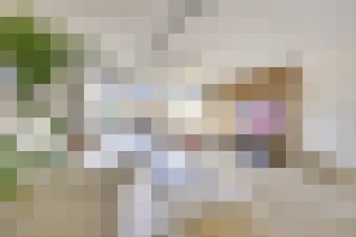 Willem Klooshove 38 Nieuwegein thumbnail 5