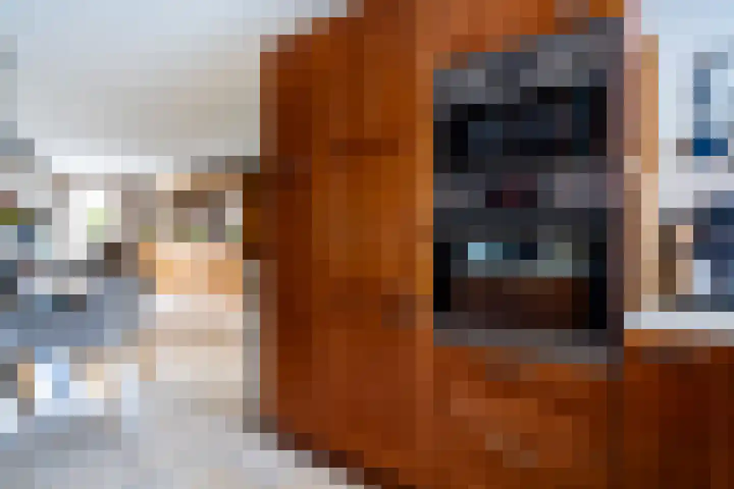 Willem Klooshove 7 Nieuwegein thumbnail 12