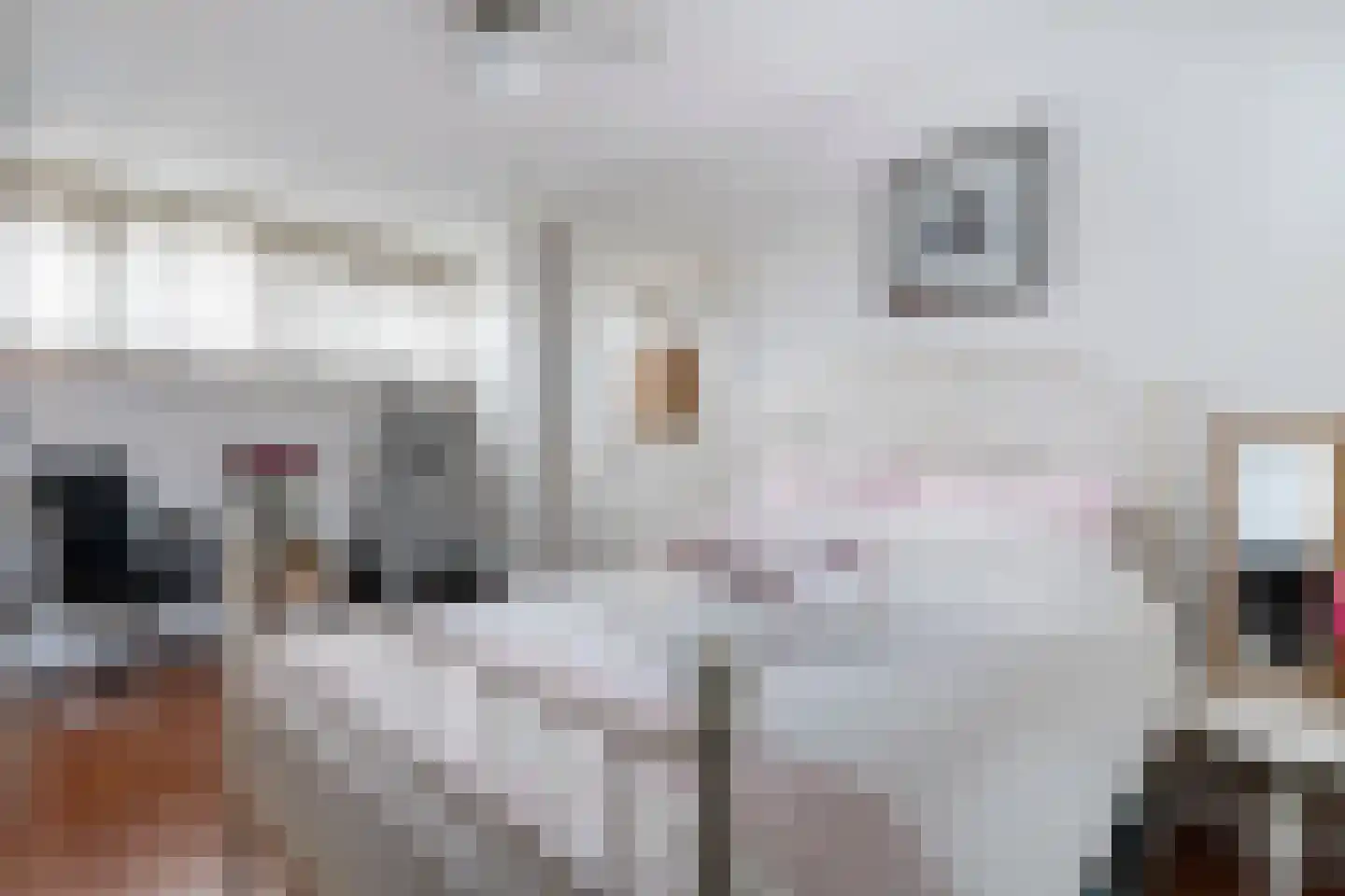 Willem Klooshove 7 Nieuwegein thumbnail 29