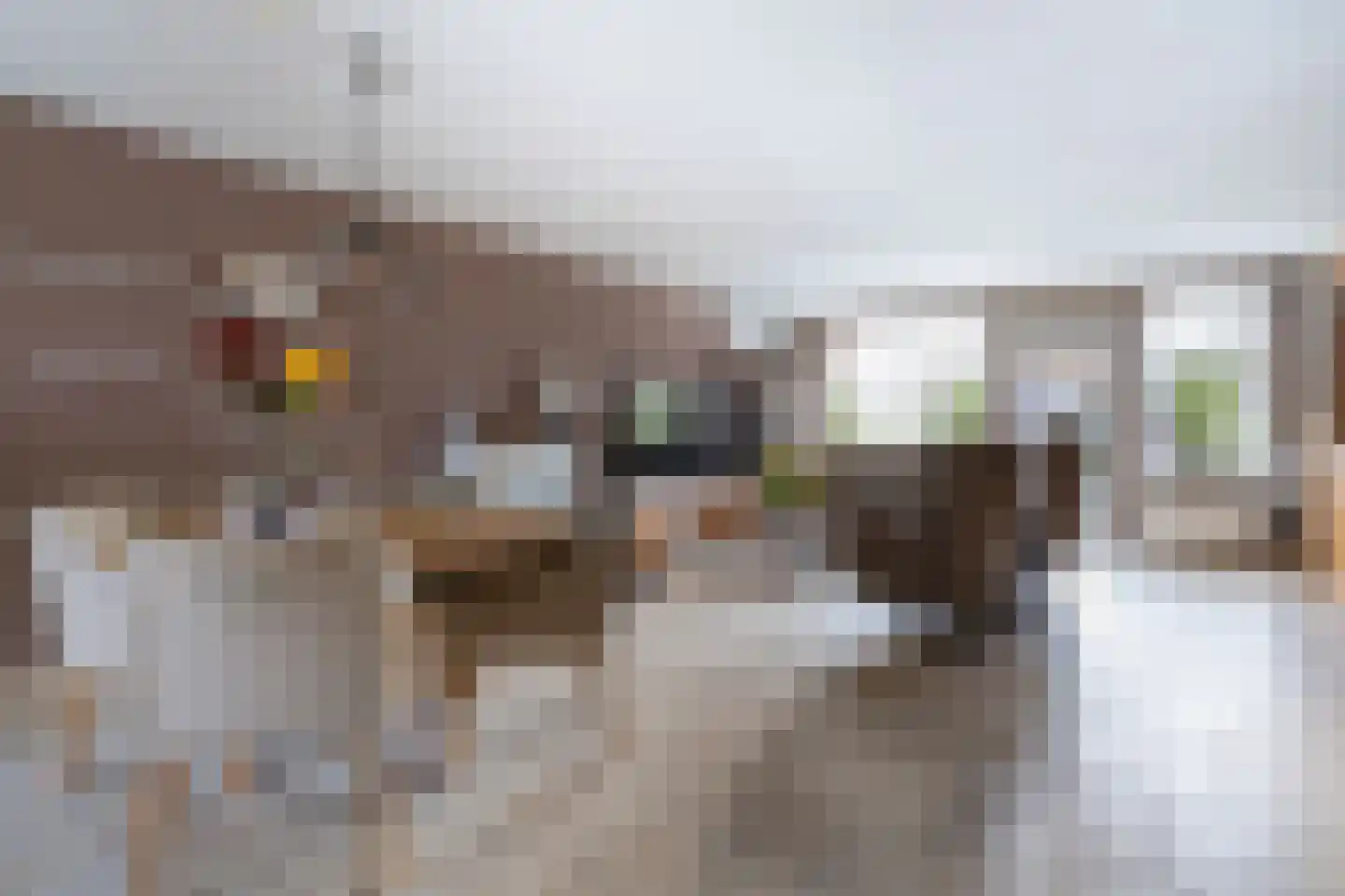 Willem Klooshove 7 Nieuwegein thumbnail 4