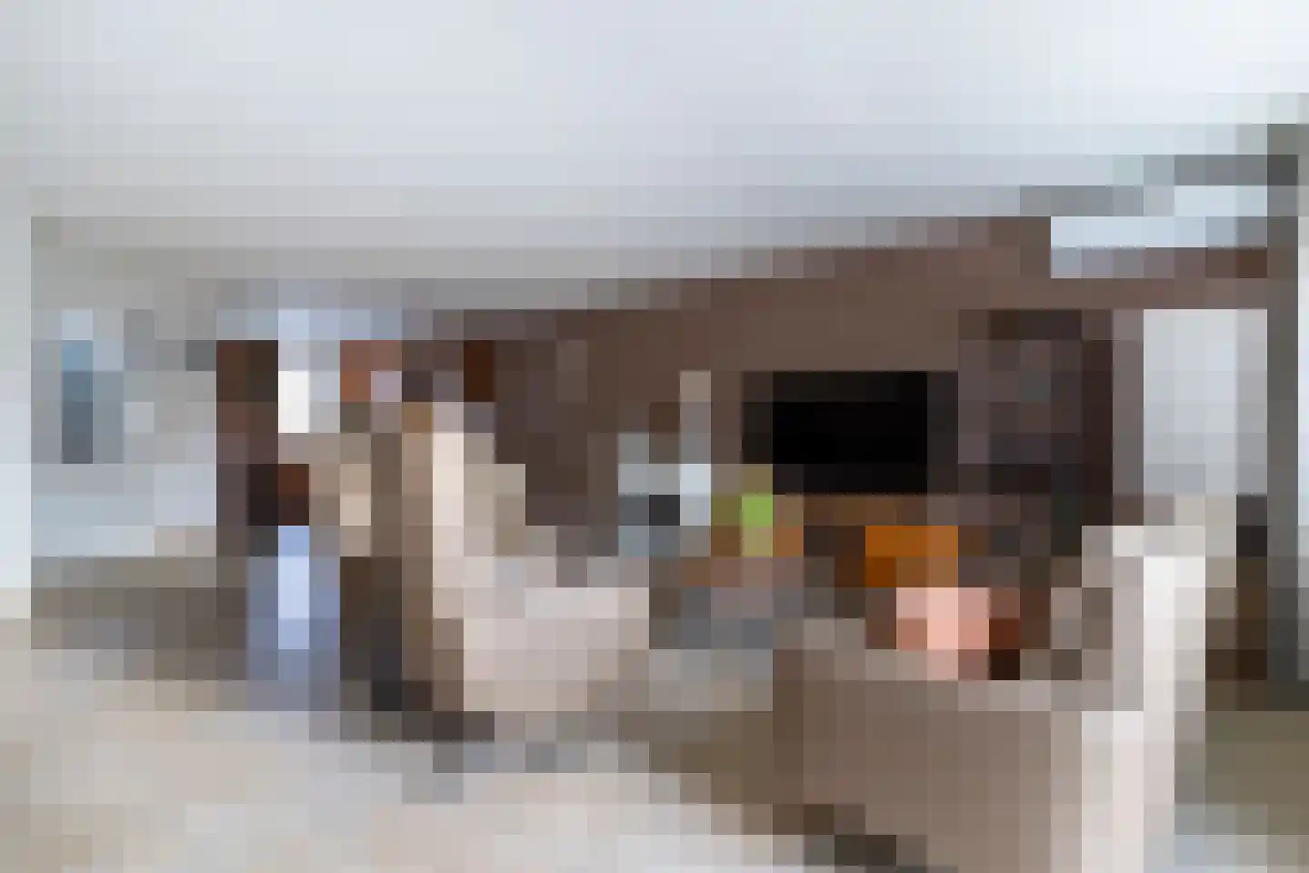 Willem Klooshove 7 Nieuwegein thumbnail 5