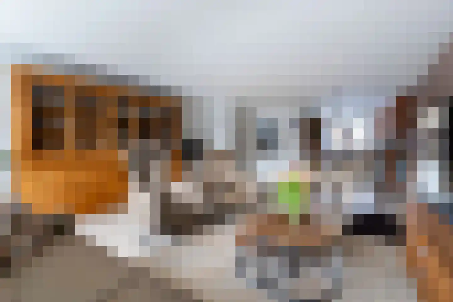 Willem Klooshove 7 Nieuwegein thumbnail 6