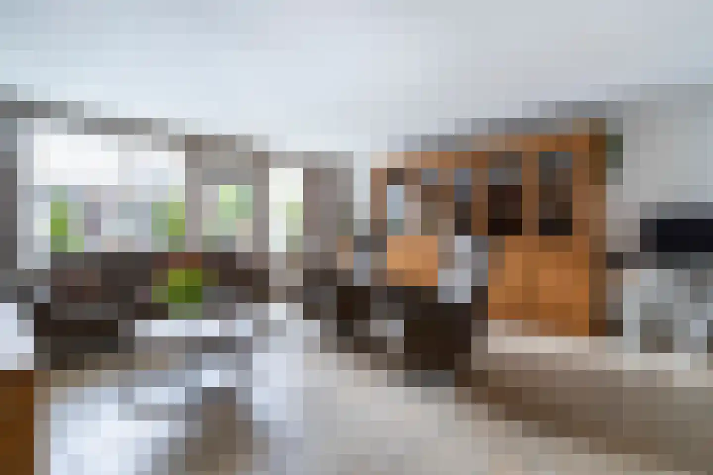 Willem Klooshove 7 Nieuwegein thumbnail 7