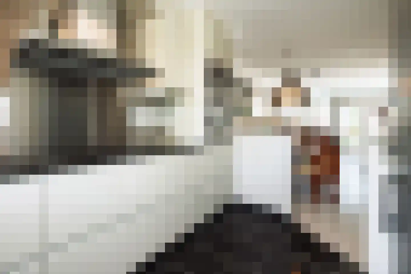 Willem Klooshove 9 Nieuwegein thumbnail 12