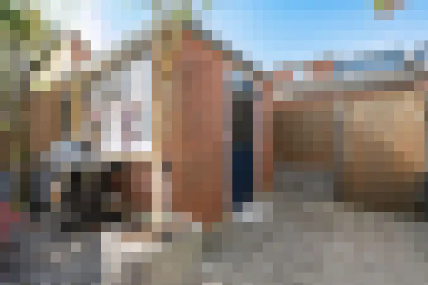 Willem Klooshove 9 Nieuwegein thumbnail 23