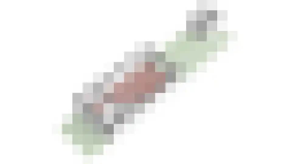 Willem Klooshove 9 Nieuwegein thumbnail 32