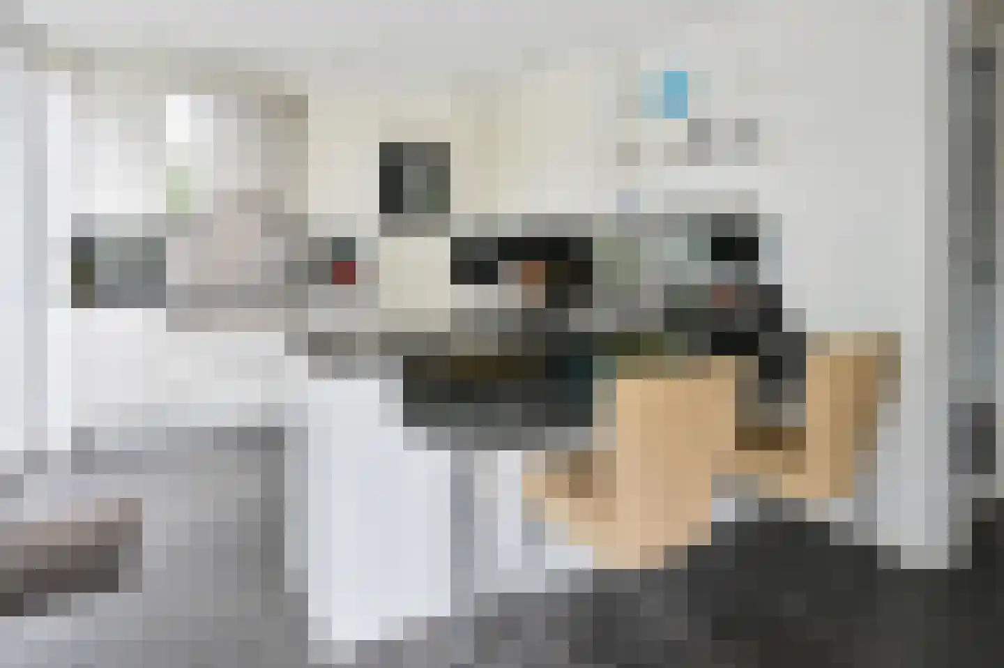 Willem Klooslaan 10 Uithoorn thumbnail 12