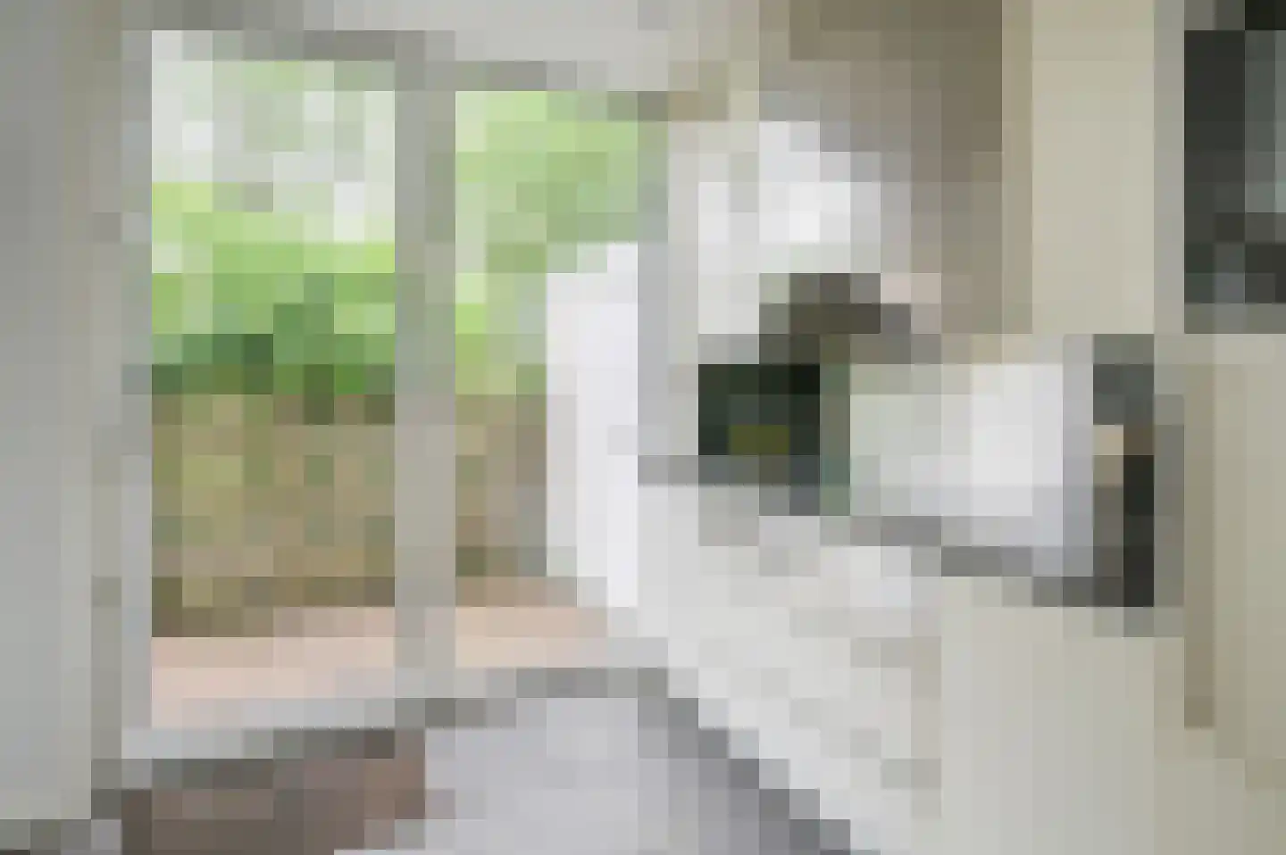 Willem Klooslaan 10 Uithoorn thumbnail 13