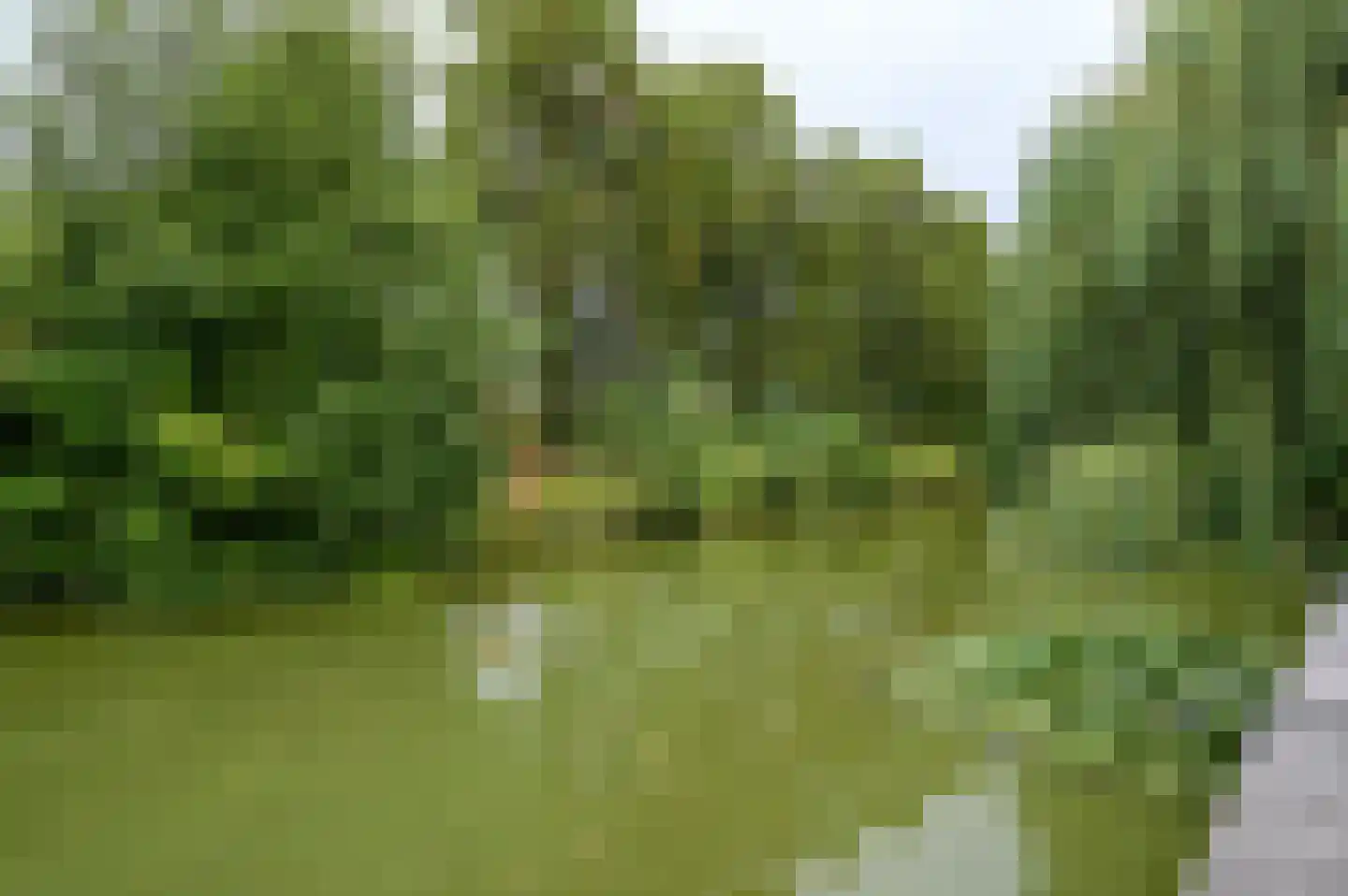 Willem Klooslaan 10 Uithoorn thumbnail 39