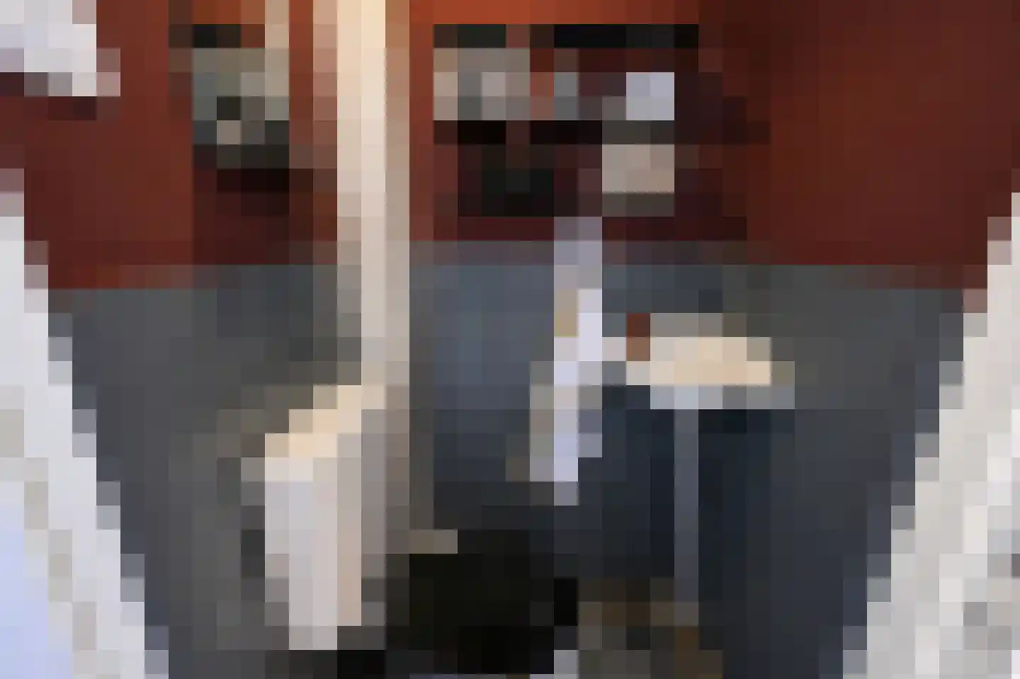 Willem Klooslaan 11 Uithoorn thumbnail 15