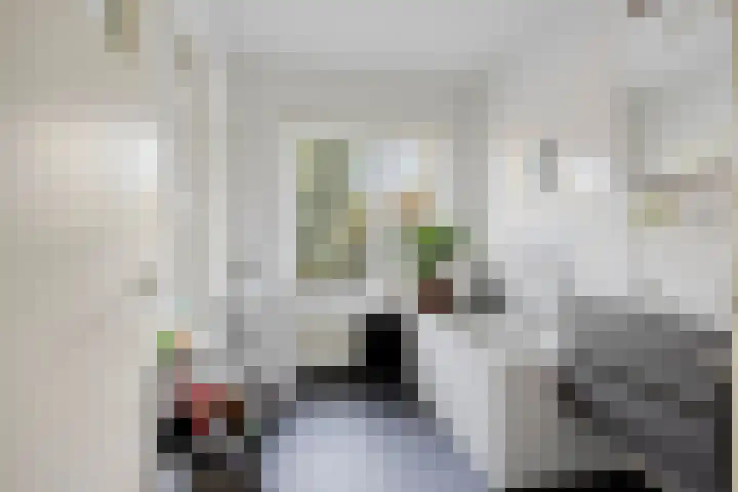 Willem Klooslaan 24 Eindhoven thumbnail 14