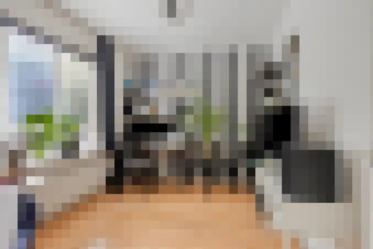 Willem Klooslaan 24 Eindhoven thumbnail 17