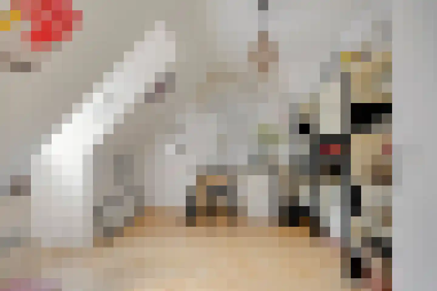 Willem Klooslaan 24 Eindhoven thumbnail 22