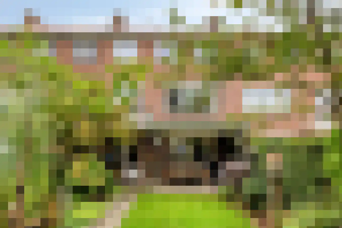 Willem Klooslaan 24 Eindhoven thumbnail 23