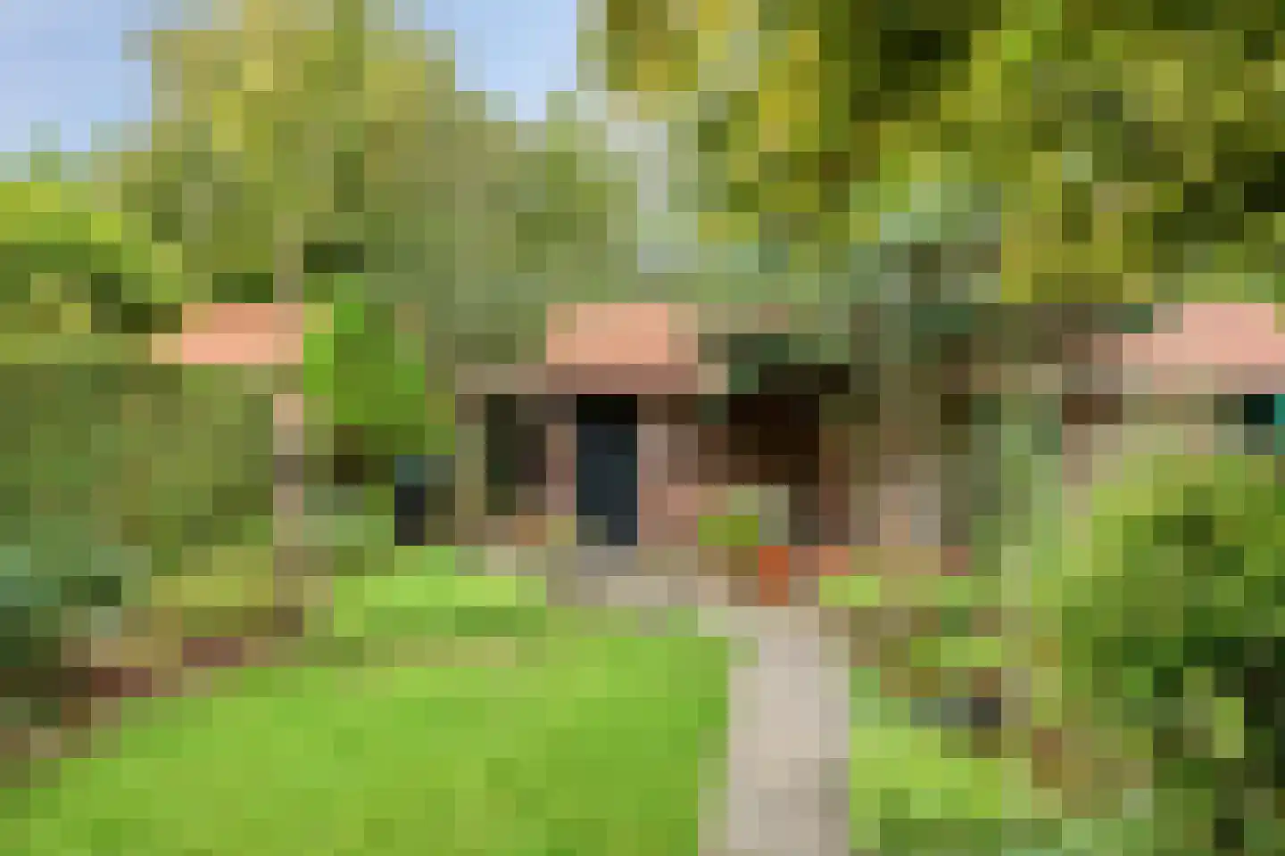 Willem Klooslaan 24 Eindhoven thumbnail 25