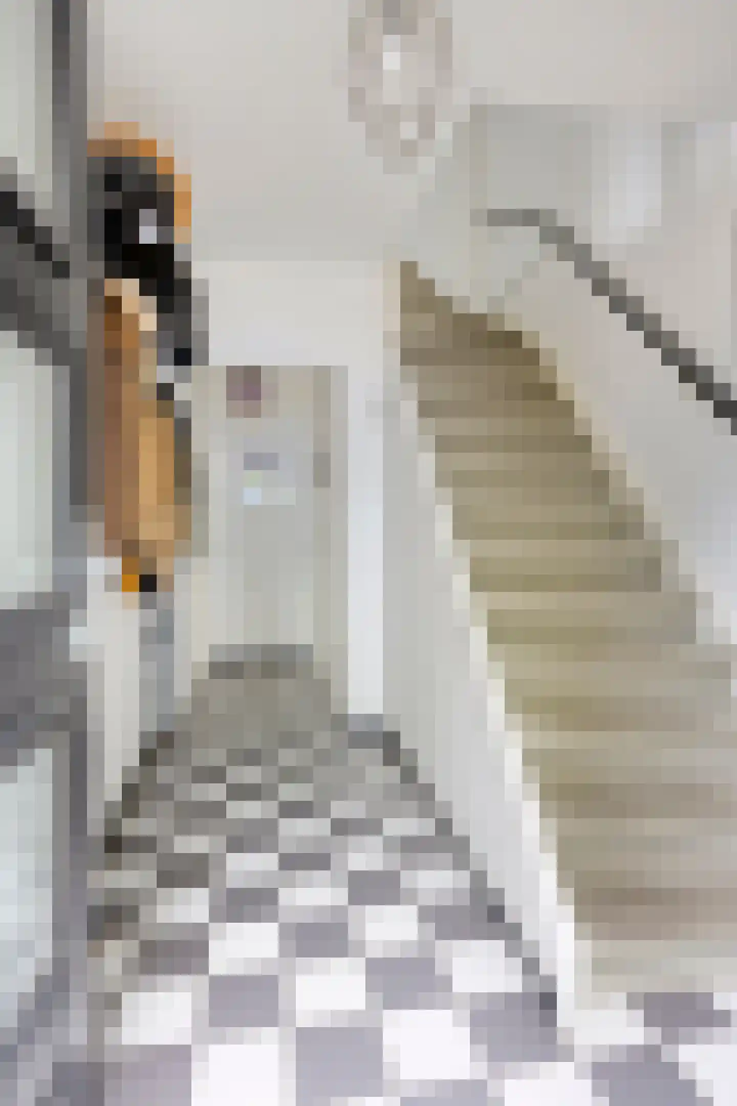 Willem Klooslaan 24 Eindhoven thumbnail 7