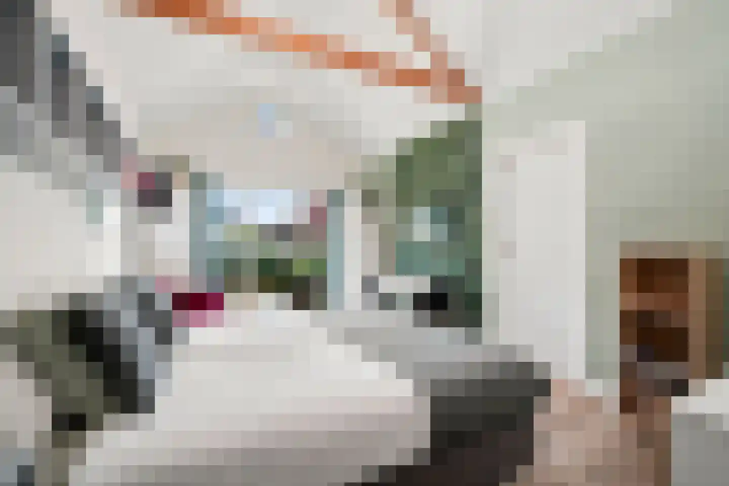Willem Klooslaan 27 Vlissingen thumbnail 26