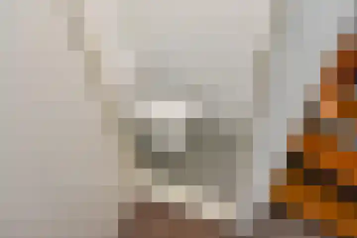 Willem Klooslaan 30 Voorburg thumbnail 21