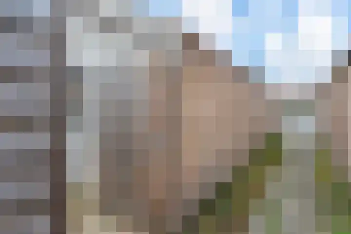 Willem Klooslaan 30 Voorburg thumbnail 28