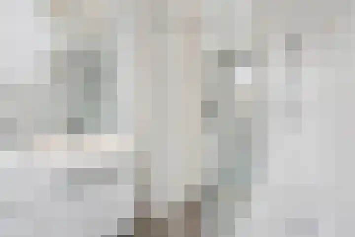 Willem Klooslaan 30 Voorburg thumbnail 34