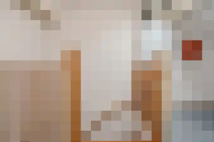 Willem Klooslaan 30 Voorburg thumbnail 41