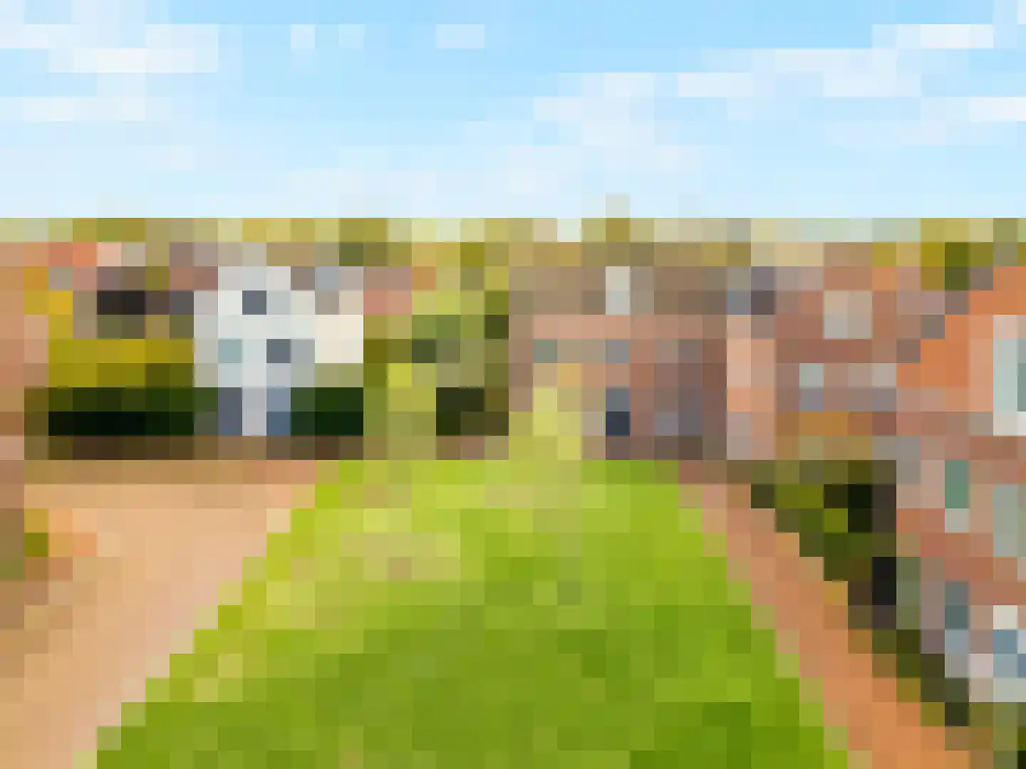 Willem Klooslaan 33 De Meern thumbnail 69