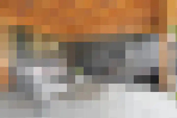 Willem Klooslaan 34 Vlissingen thumbnail 29