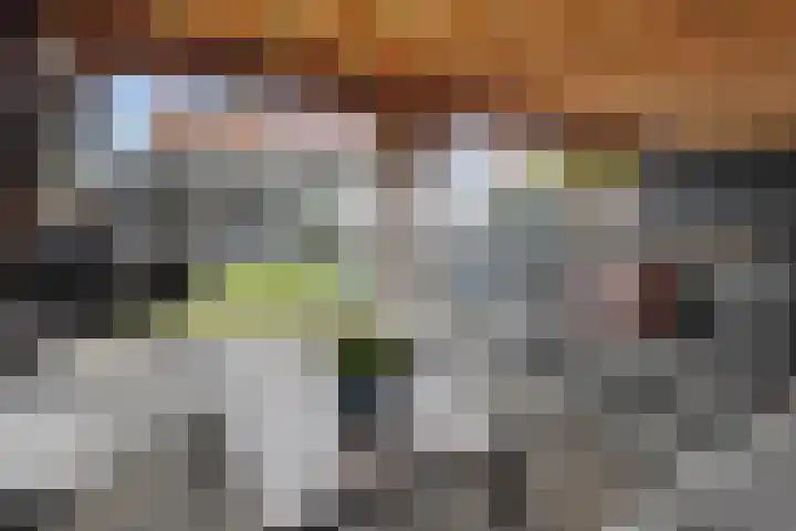 Willem Klooslaan 34 Vlissingen thumbnail 30