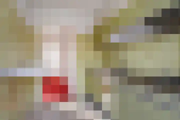 Willem Klooslaan 34 Voorburg thumbnail 19