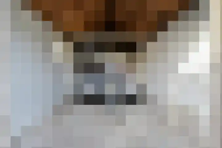 Willem Klooslaan 34 Voorburg thumbnail 31