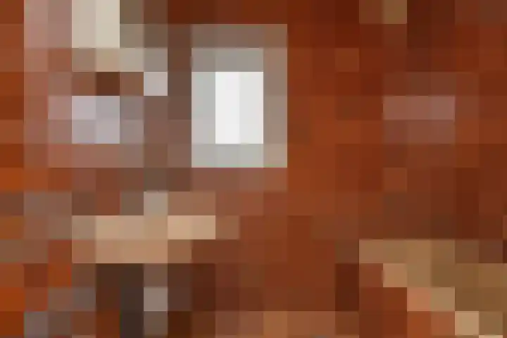 Willem Klooslaan 34 Voorburg thumbnail 5